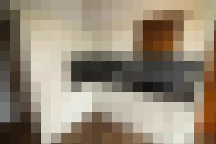 Oosteinde 14 Vriezenveen thumbnail 9