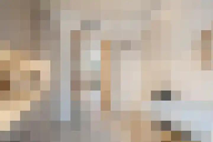 Oosteinde 150 Delft thumbnail 10