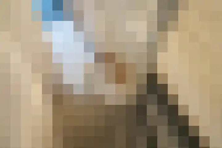 Oosteinde 150 Delft thumbnail 21