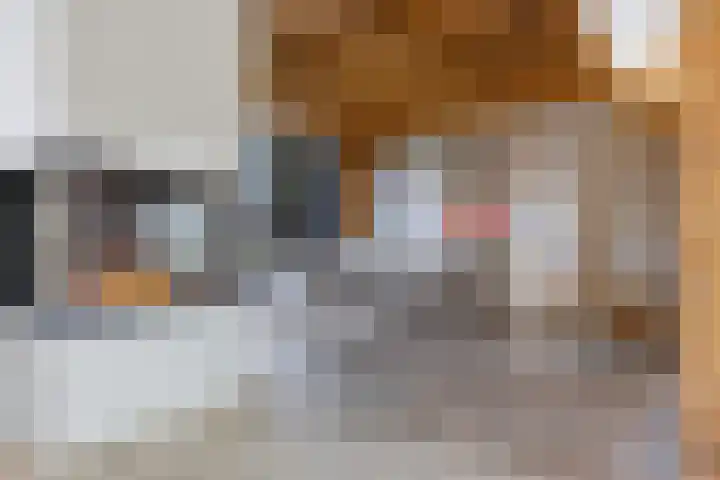 Oosteinde 17 Wormer thumbnail 19