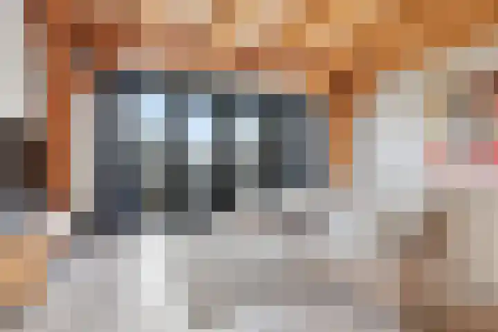 Oosteinde 17 Wormer thumbnail 20