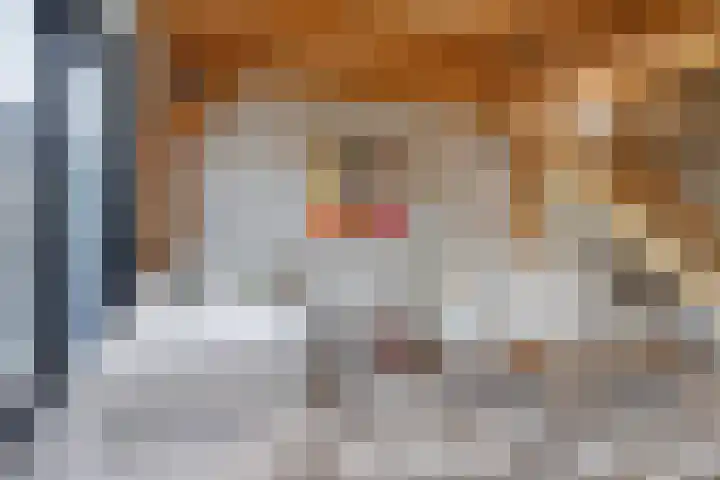 Oosteinde 17 Wormer thumbnail 22