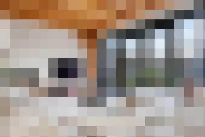 Oosteinde 17 Wormer thumbnail 23