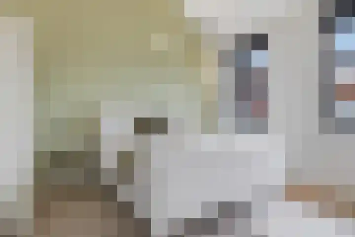 Oosteinde 17 Wormer thumbnail 31