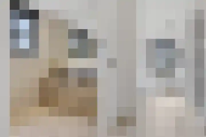 Oosteinde 17 Wormer thumbnail 36