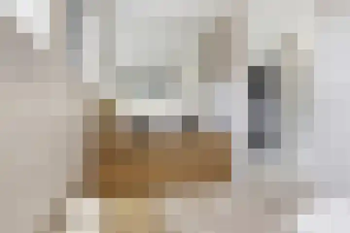 Oosteinde 17 Wormer thumbnail 38
