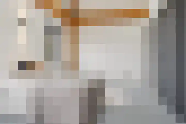 Oosteinde 17 Wormer thumbnail 45