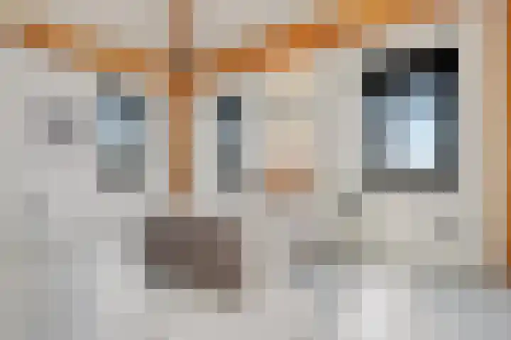 Oosteinde 17 Wormer thumbnail 48