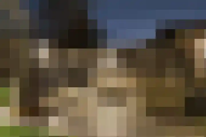 Oosteinde 17 Wormer thumbnail 86