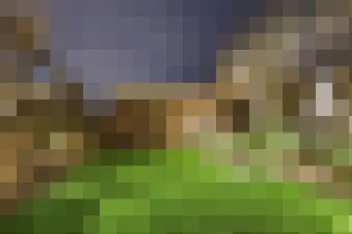 Oosteinde 17 Wormer thumbnail 87
