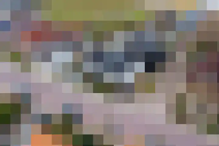 Oosteinde 17 Wormer thumbnail 90