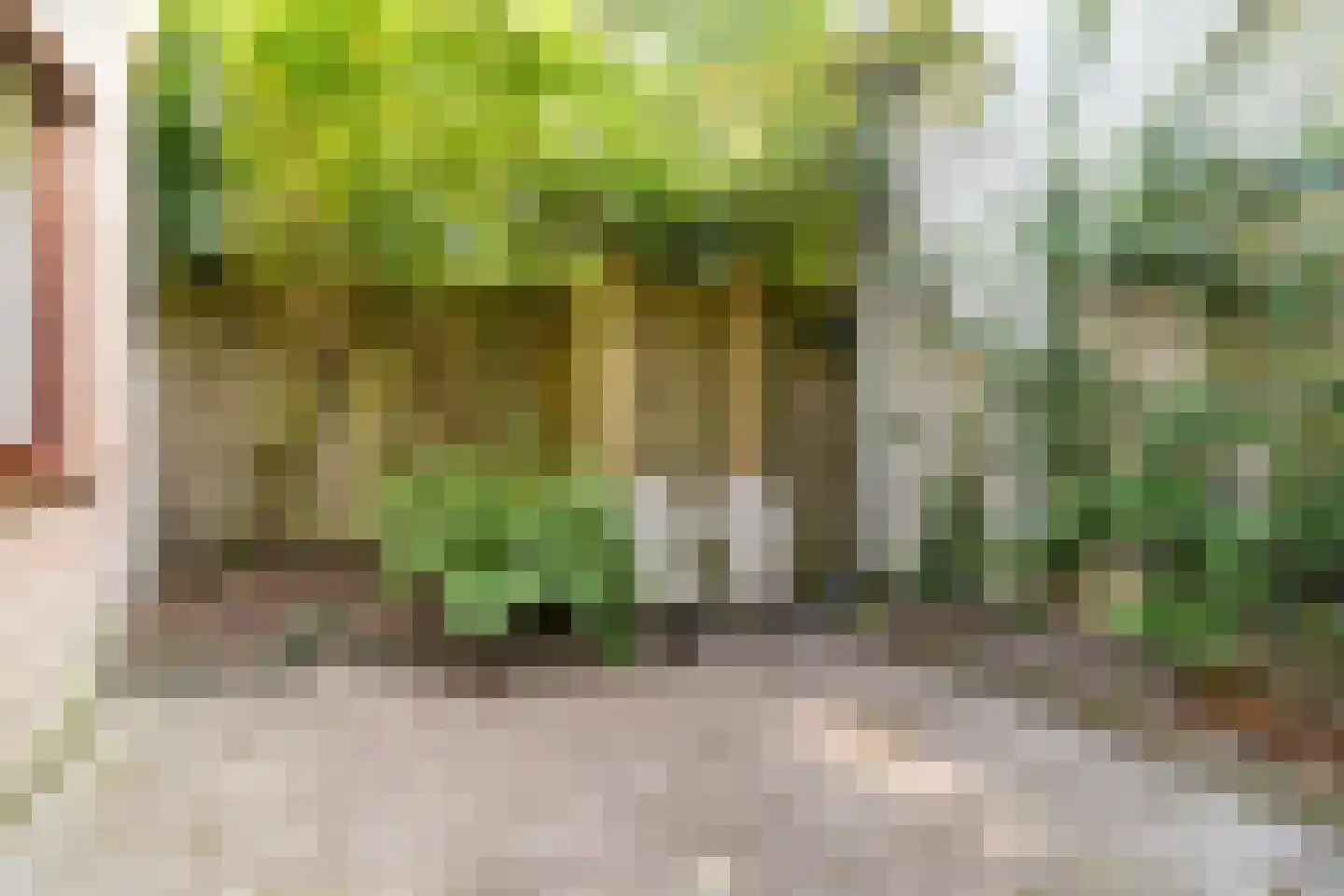 Oosteinde 178 Delft thumbnail 14
