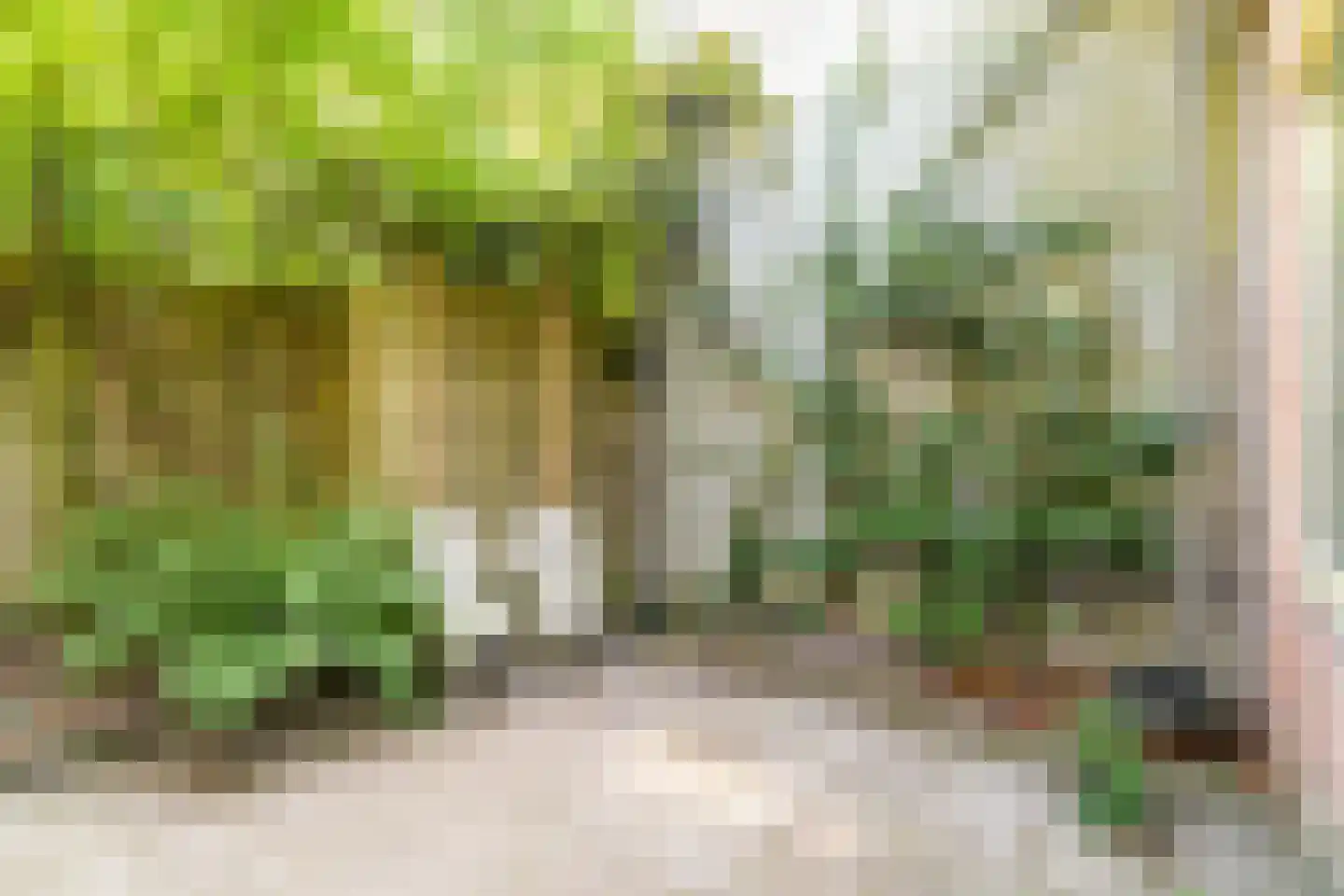Oosteinde 178 Delft thumbnail 15