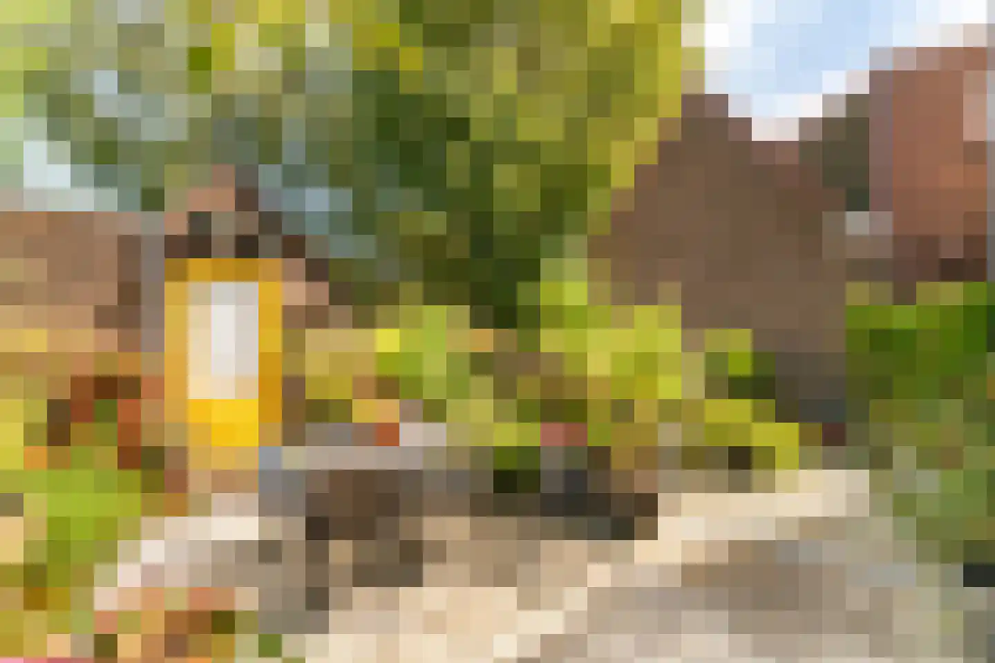 Oosteinde 178 Delft thumbnail 36