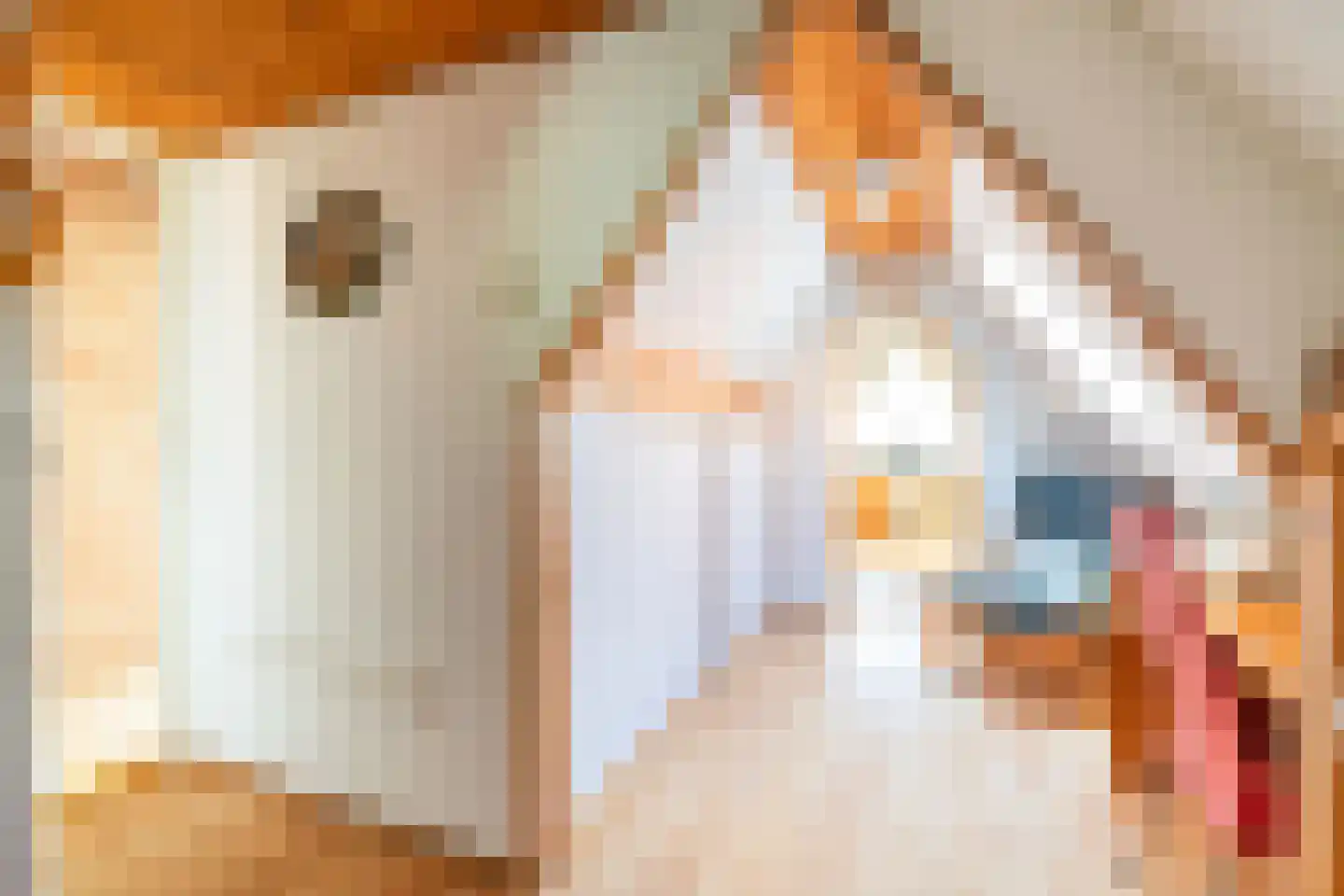 Oosteinde 178 Delft thumbnail 47