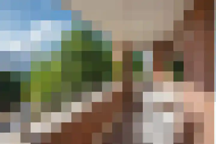 Oosteinde 20 Nootdorp thumbnail 11