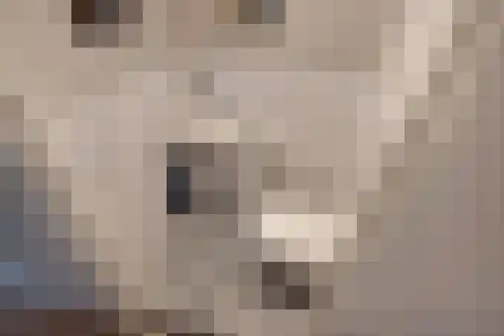 Oosteinde 20 Nootdorp thumbnail 16