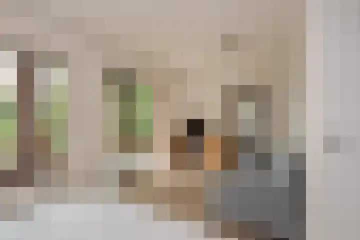 Oosteinde 20 Nootdorp thumbnail 19