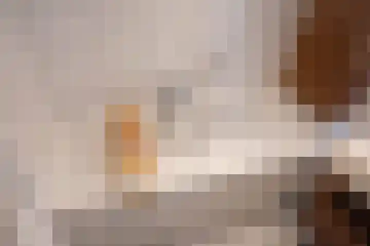 Oosteinde 20 Nootdorp thumbnail 32