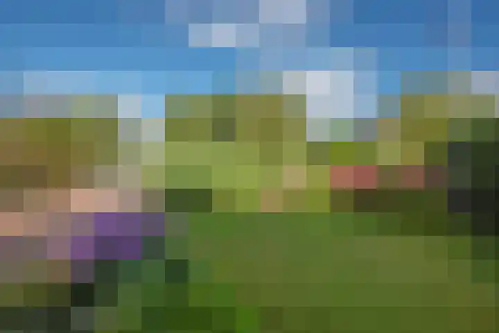 Oosteinde 20 Nootdorp thumbnail 5