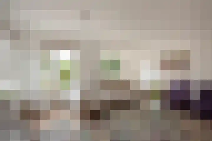 Oosteinde 20 Nootdorp thumbnail 8