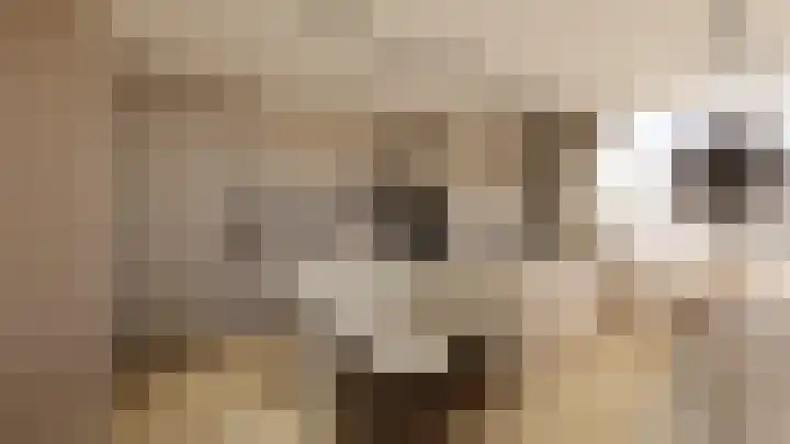 Oosteinde 21 c in Hardenberg