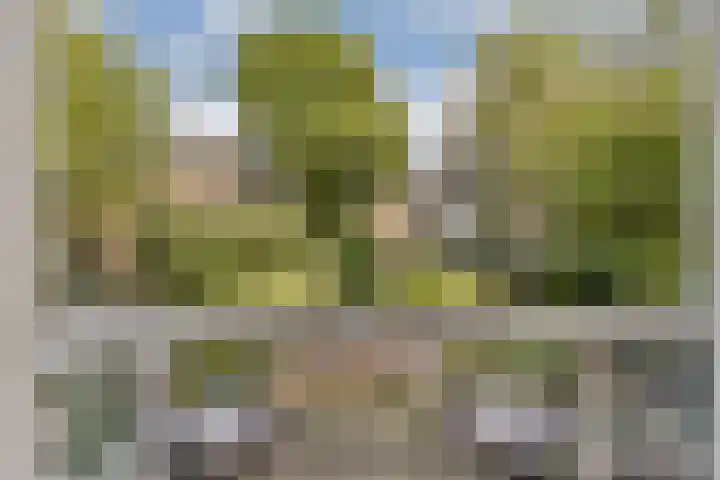 Oosteinde 21 H Amsterdam thumbnail 16