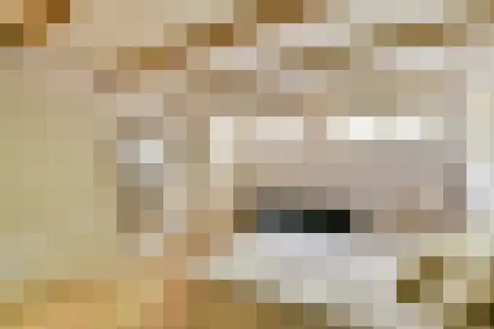 Oosteinde 21 H Amsterdam thumbnail 22