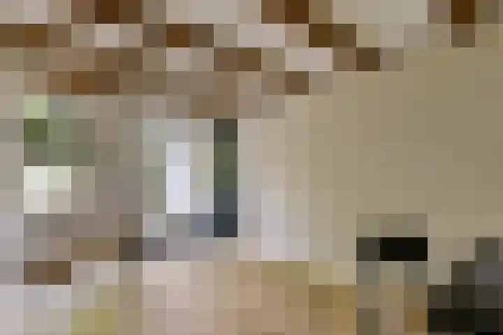 Oosteinde 21 H Amsterdam thumbnail 27