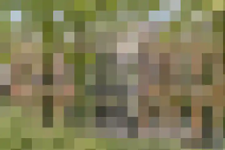 Oosteinde 21 H Amsterdam thumbnail 34