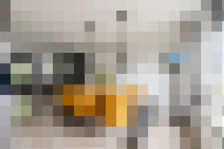 Oosteinde 22 a Oosthuizen thumbnail 21