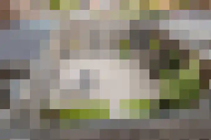 Oosteinde 22 a Oosthuizen thumbnail 37