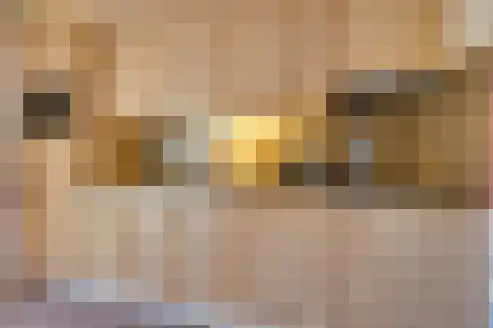 Oosteinde 25 Berkhout thumbnail 16