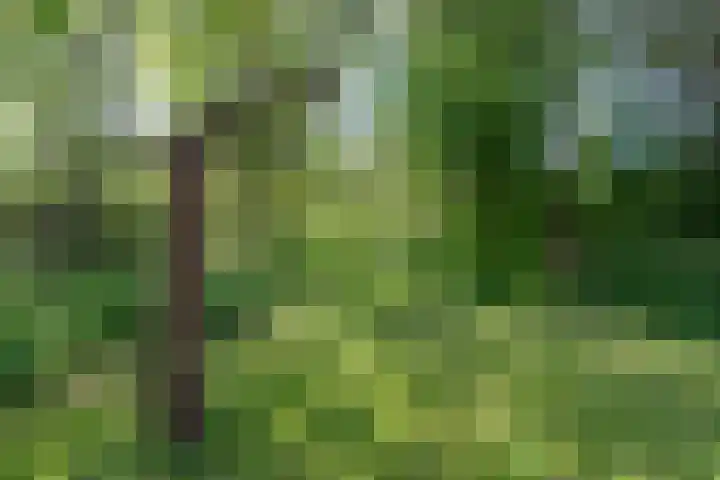 Oosteinde 25 Berkhout thumbnail 20