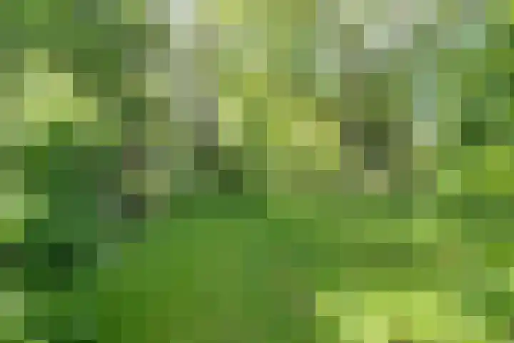 Oosteinde 25 Berkhout thumbnail 22