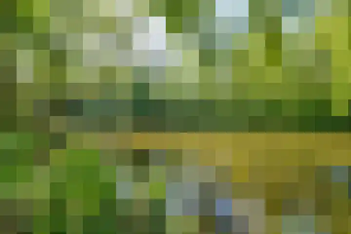 Oosteinde 25 Berkhout thumbnail 23