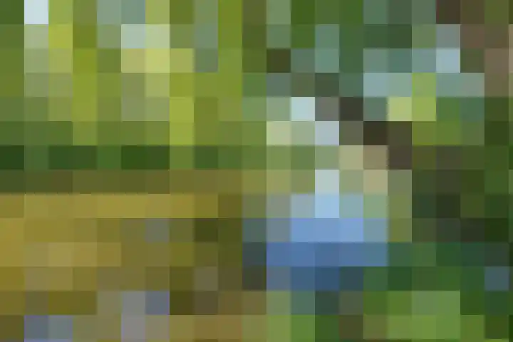 Oosteinde 25 Berkhout thumbnail 24