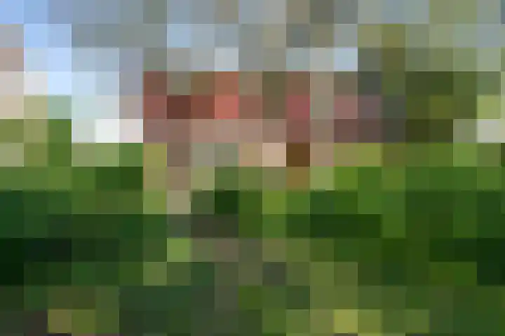 Oosteinde 25 Berkhout thumbnail 26