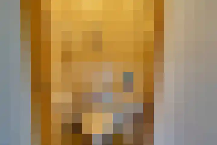 Oosteinde 25 Berkhout thumbnail 31