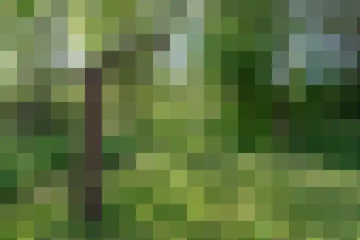 Oosteinde 25 Berkhout thumbnail 4