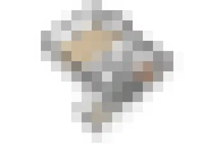 Oosteinde 25 Berkhout thumbnail 45