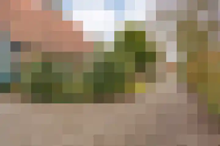 Oosteinde 3 Marknesse thumbnail 10