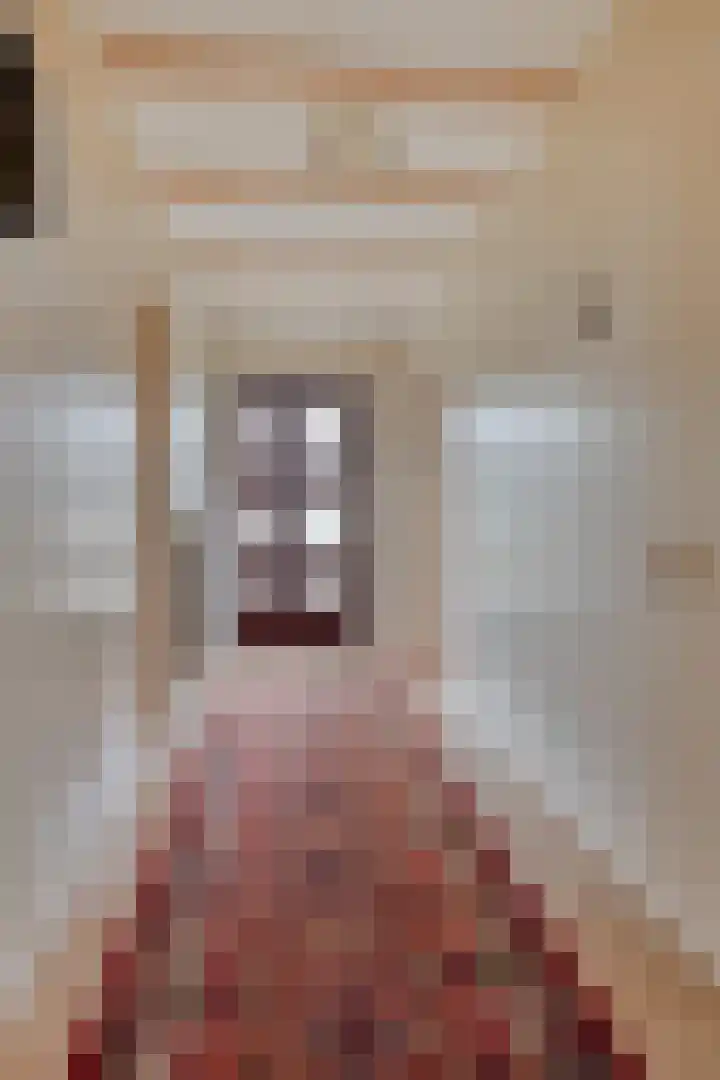 Oosteinde 3 Marknesse thumbnail 12