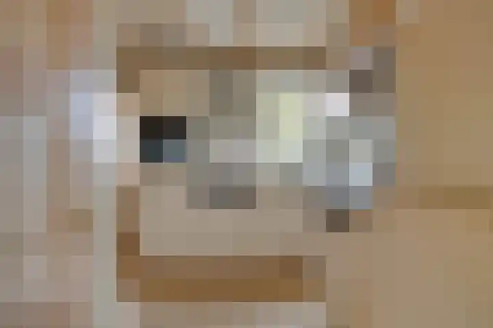 Oosteinde 3 Marknesse thumbnail 21