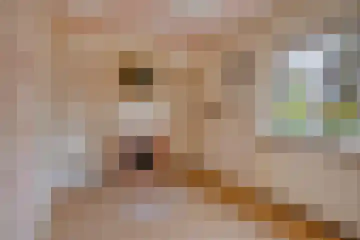 Oosteinde 3 Marknesse thumbnail 28