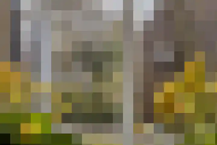 Oosteinde 3 Marknesse thumbnail 31