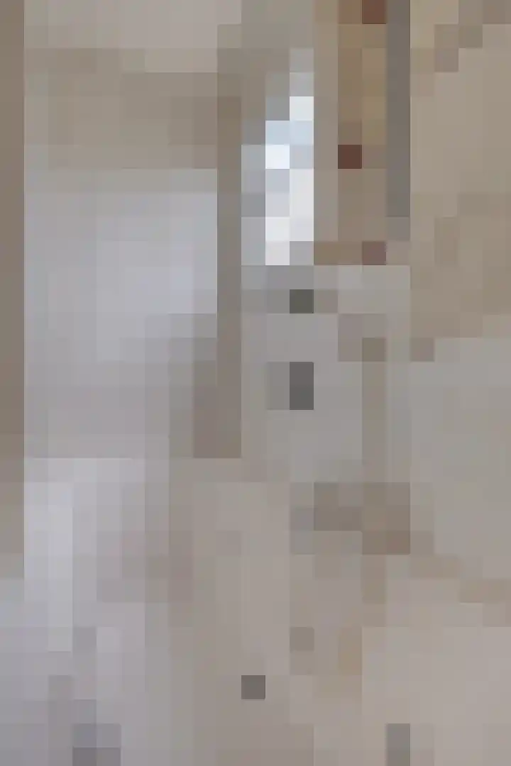 Oosteinde 3 Marknesse thumbnail 42