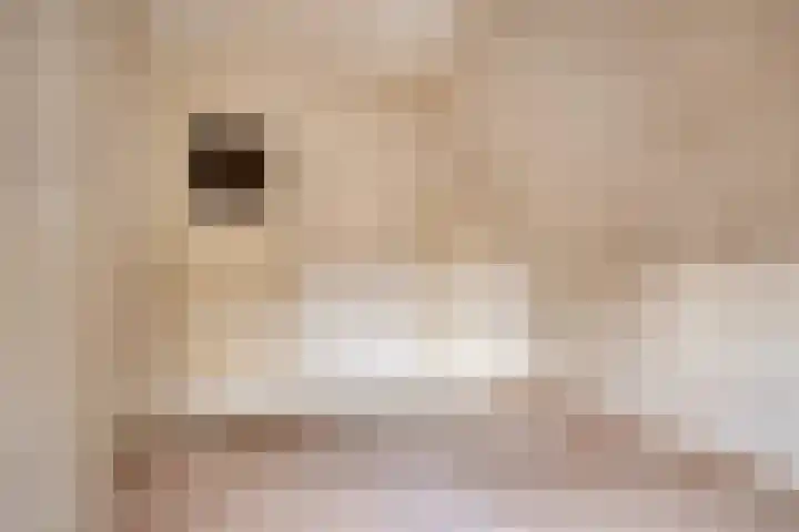 Oosteinde 3 Marknesse thumbnail 46
