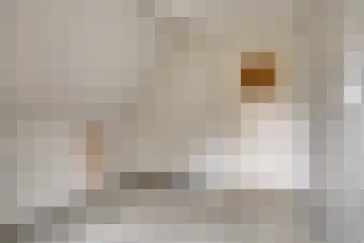 Oosteinde 3 Marknesse thumbnail 48