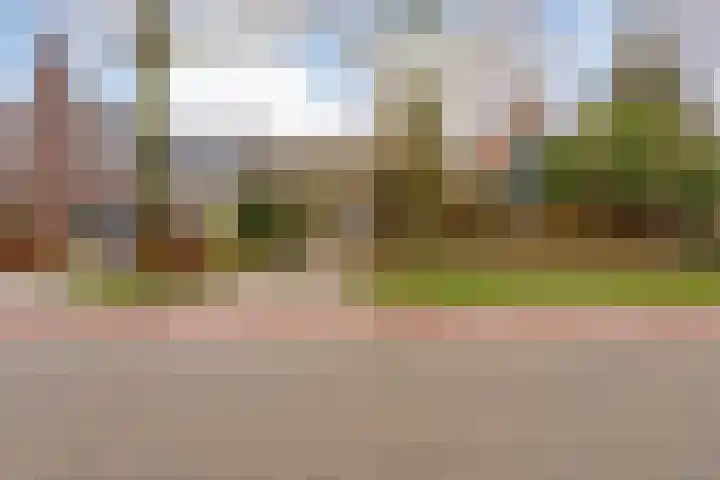 Oosteinde 3 Marknesse thumbnail 5